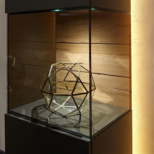 Hülsta Gentis Wohn-Kombi 7 - Akzent Naturstamm Inkl. LED-Beleuchtung Vitrine 3 Hülsta Gentis Wohn-Kombi 7 - Akzent Naturstamm Inkl. LED-Beleuchtung Vitrine